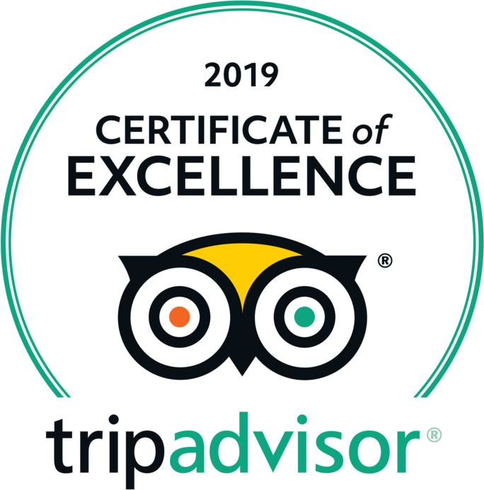 Trip Advisor Logo